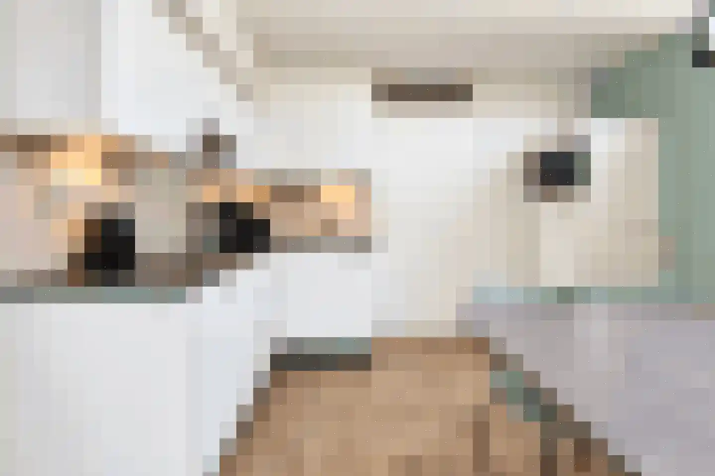 Vennenbos 421 Hapert thumbnail 11