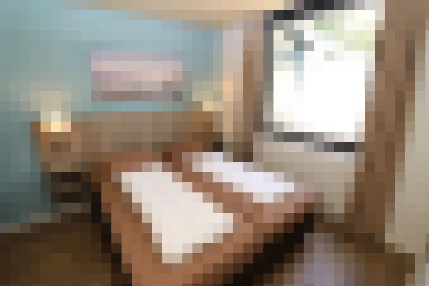 Vennenbos 421 Hapert thumbnail 11