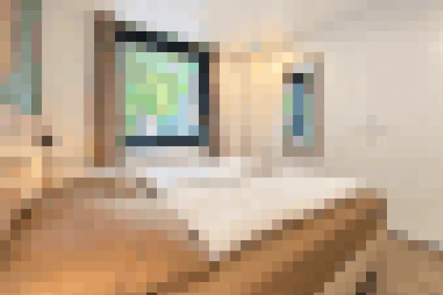 Vennenbos 421 Hapert thumbnail 13