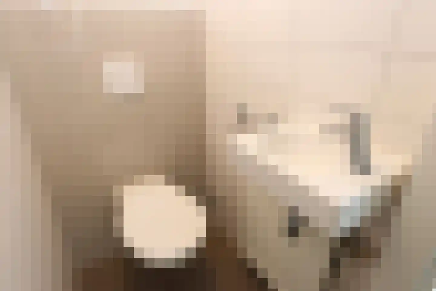 Vennenbos 421 Hapert thumbnail 13