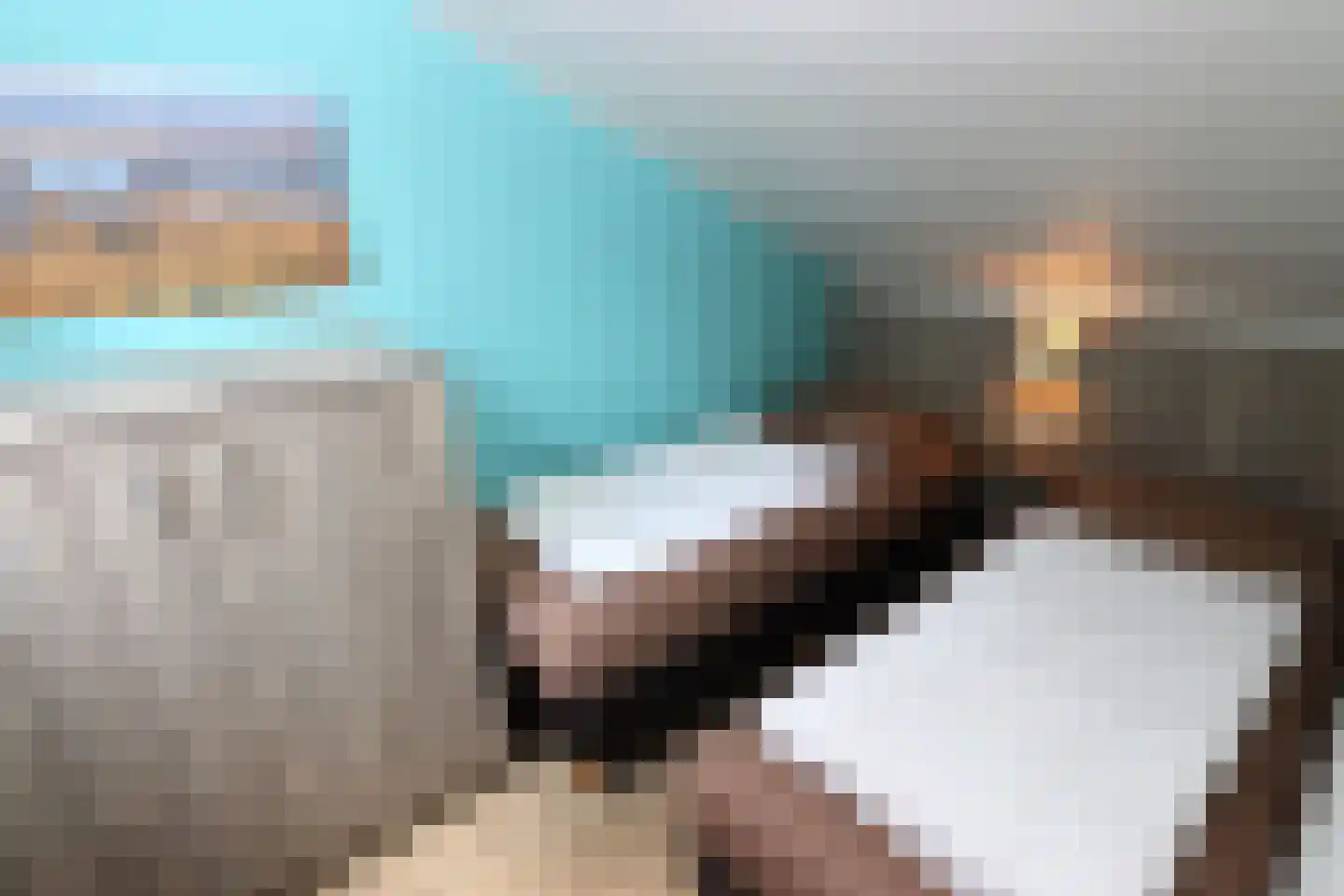 Vennenbos 421 Hapert thumbnail 14