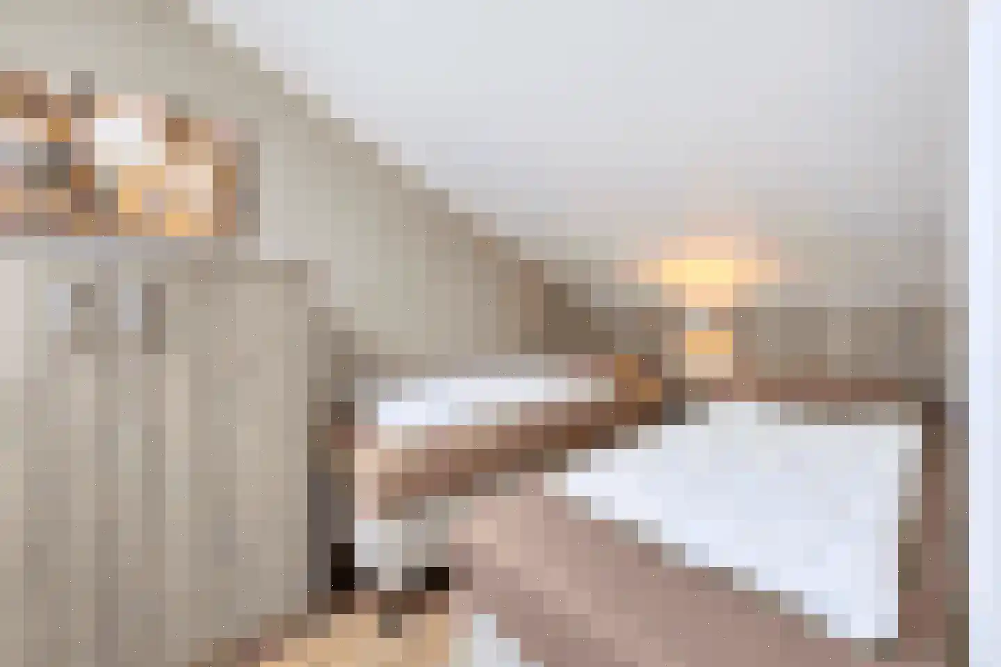 Vennenbos 421 Hapert thumbnail 15