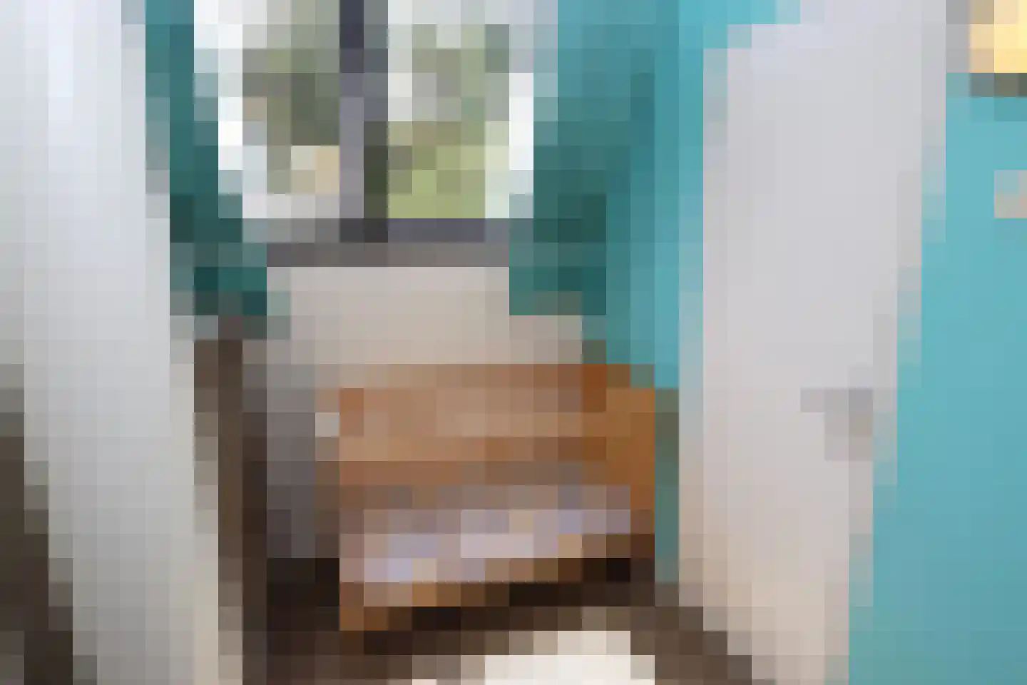 Vennenbos 421 Hapert thumbnail 17