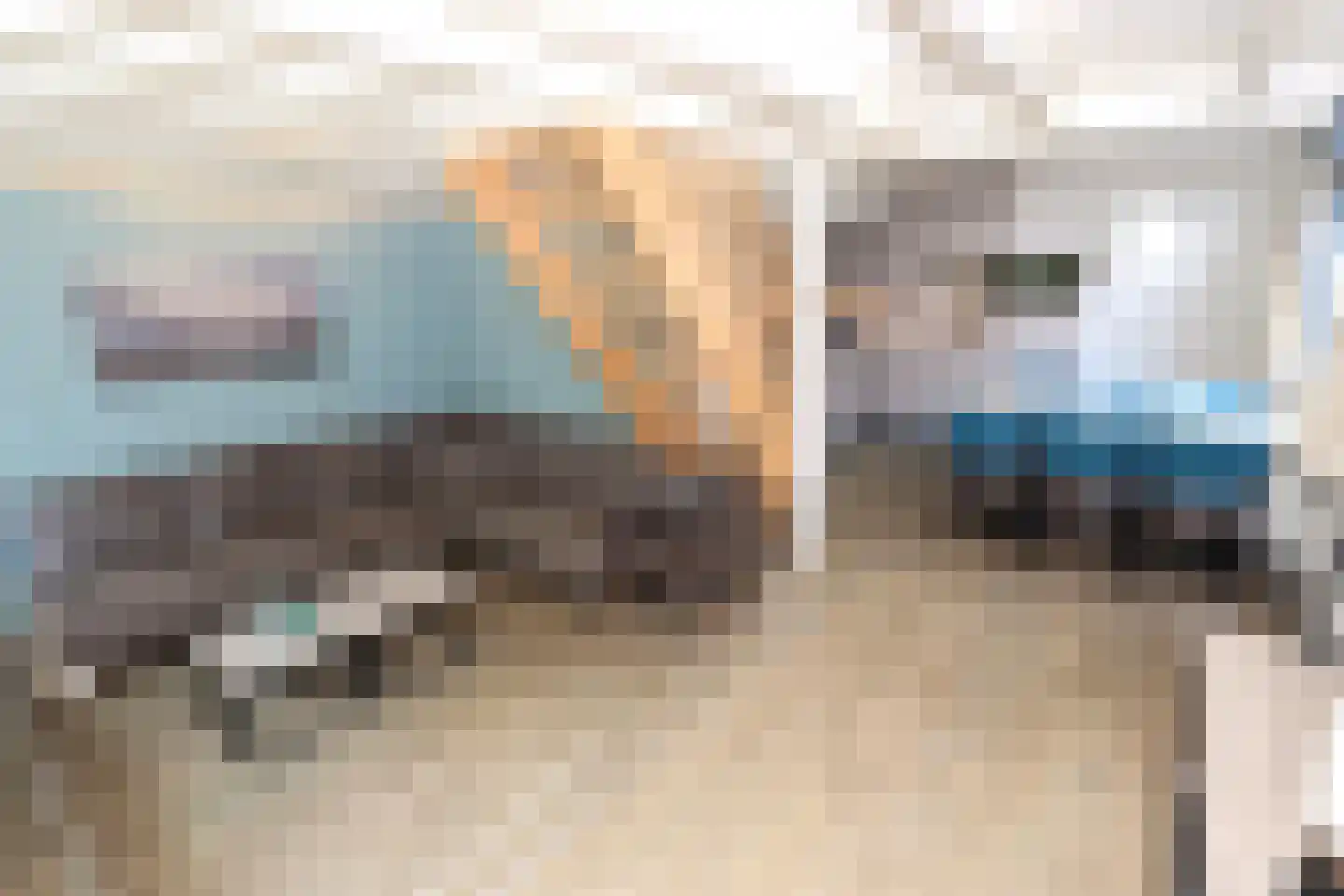Vennenbos 421 Hapert thumbnail 6