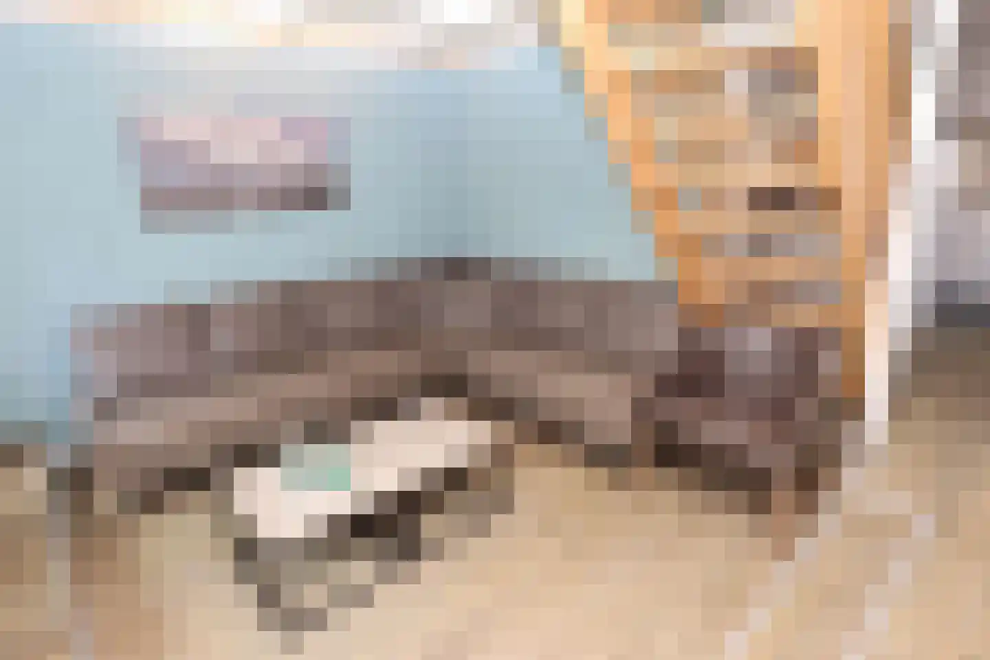 Vennenbos 421 Hapert thumbnail 7