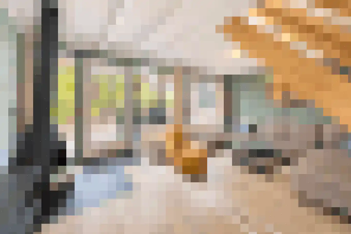 Vennenbos 421 Hapert thumbnail 7