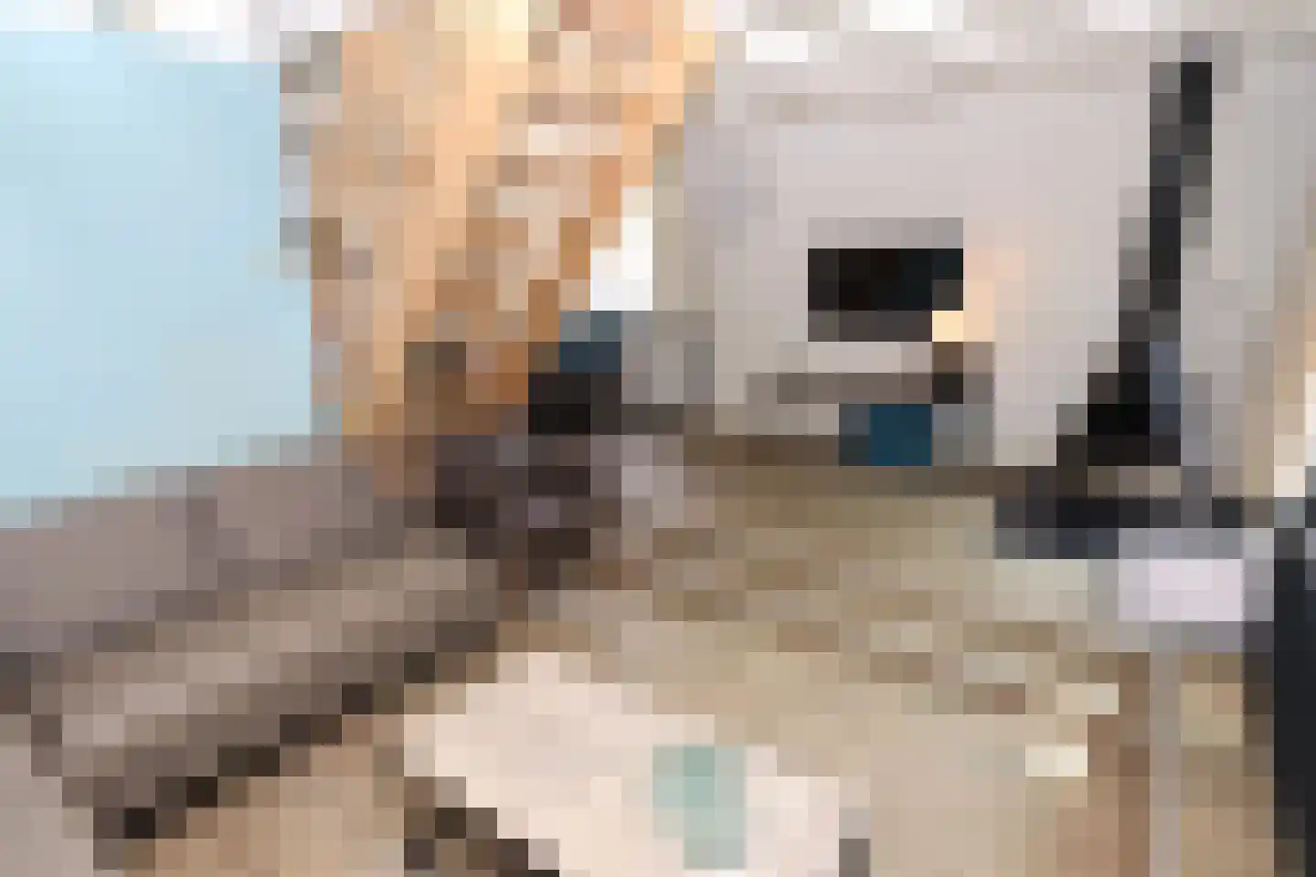 Vennenbos 421 Hapert thumbnail 8