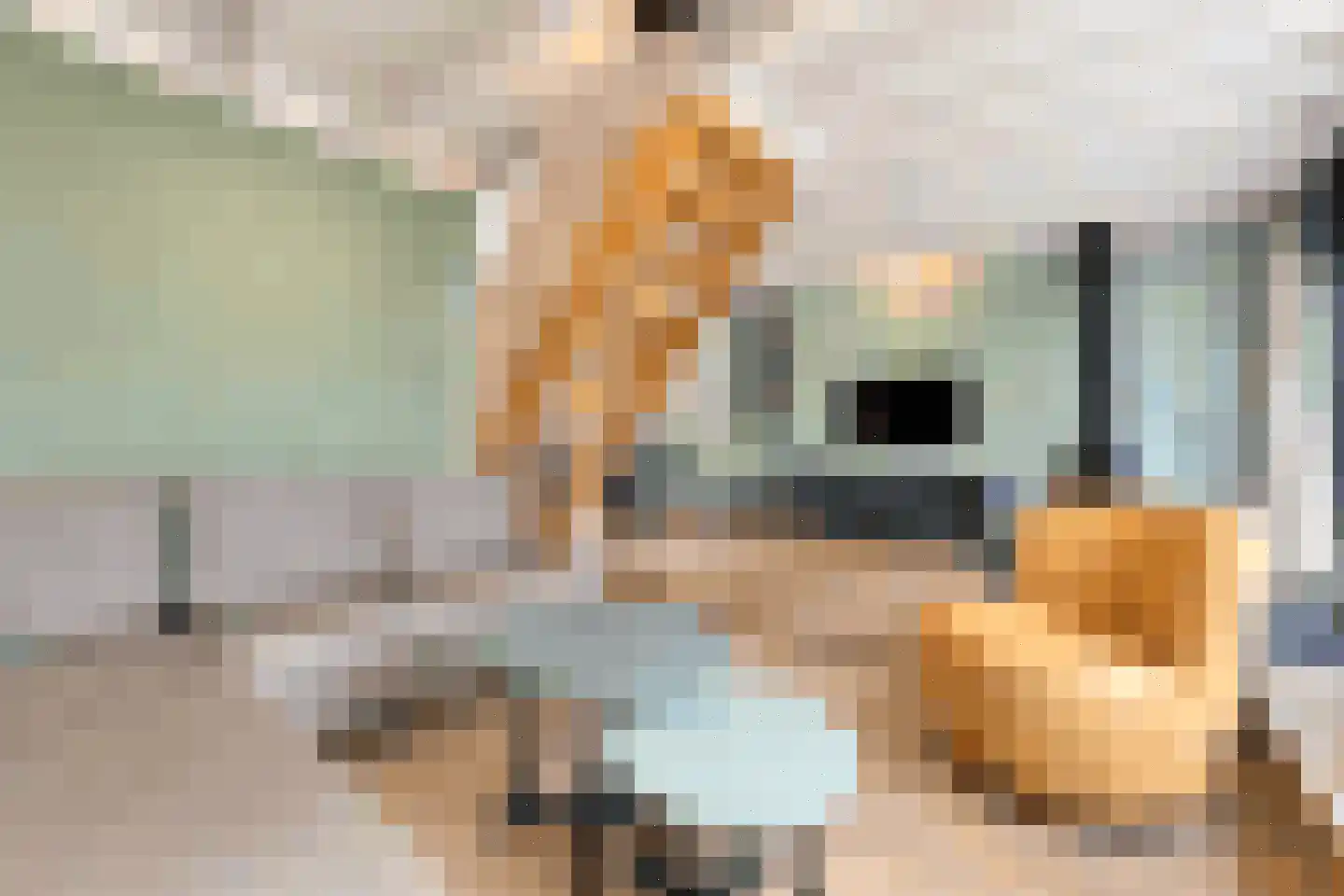 Vennenbos 421 Hapert thumbnail 8