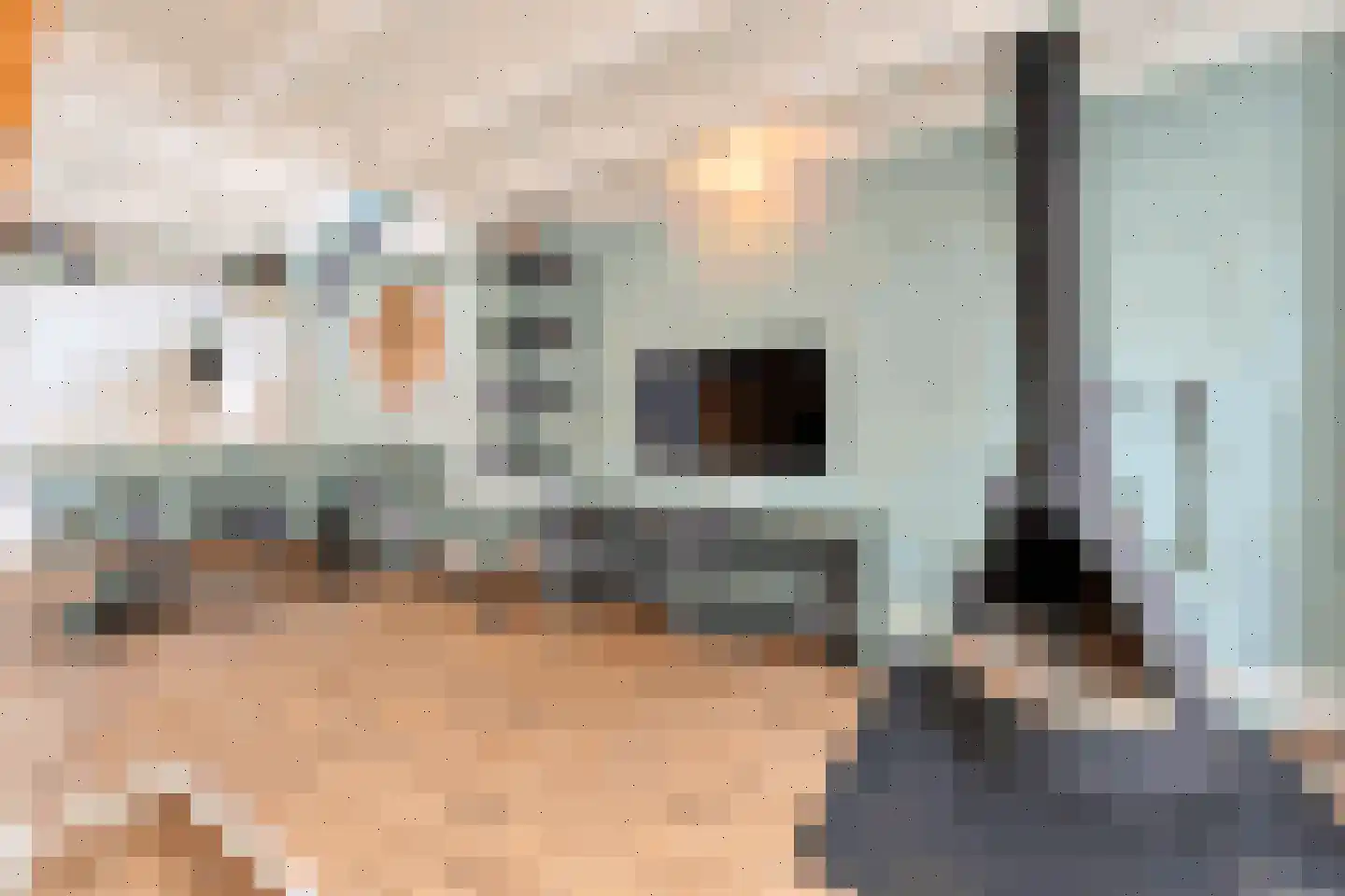 Vennenbos 421 Hapert thumbnail 9
