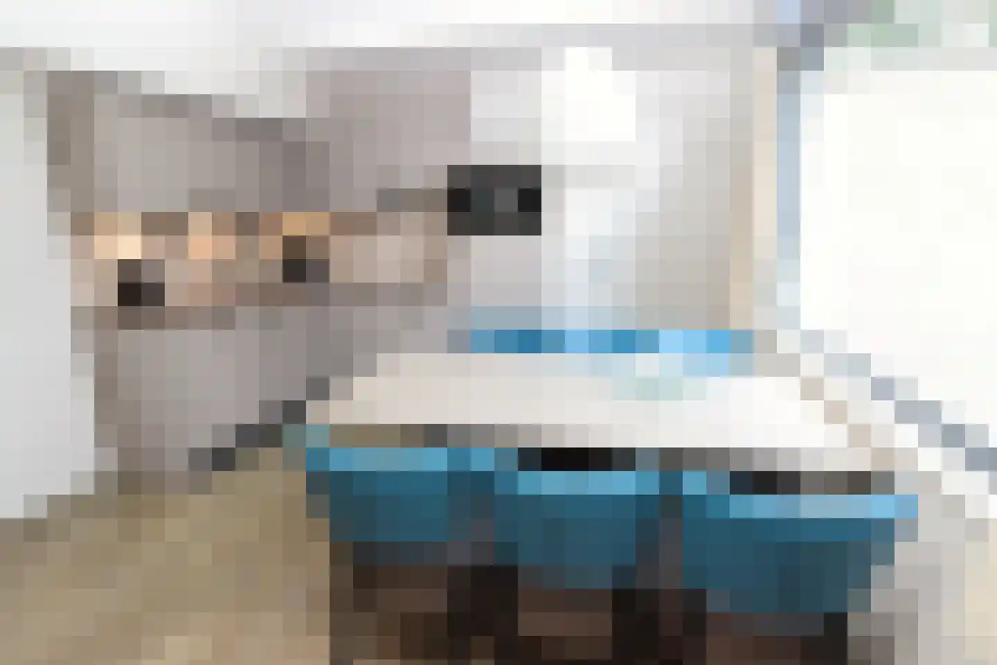 Vennenbos 421 Hapert thumbnail 9