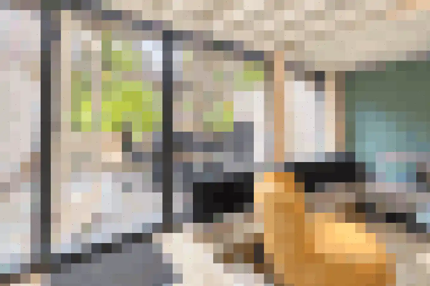 Vennenbos 428 Hapert thumbnail 10