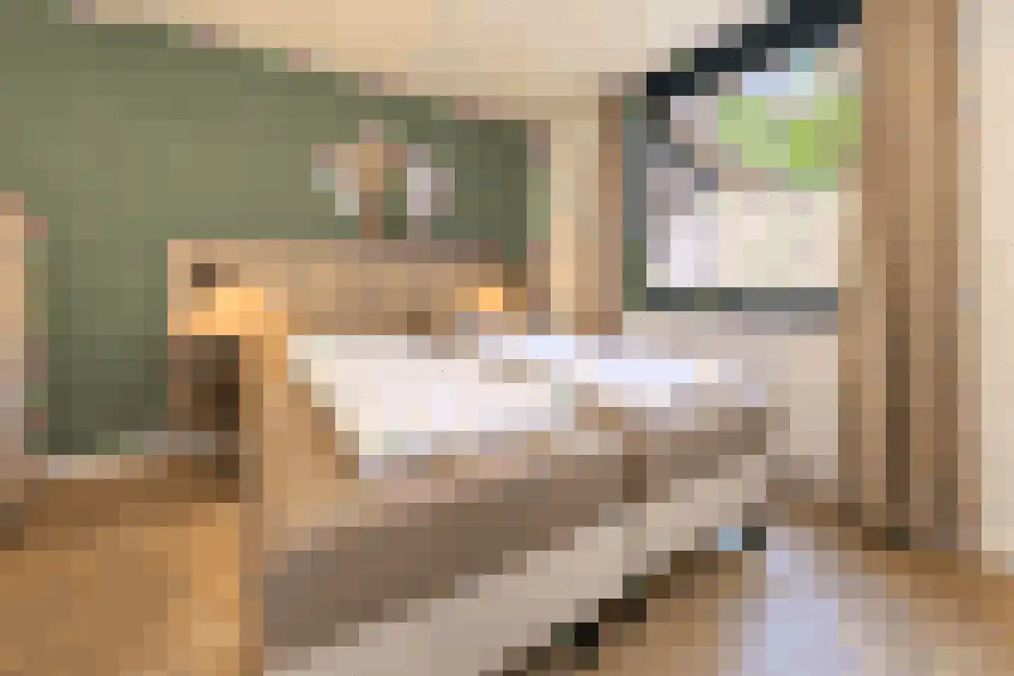 Vennenbos 428 Hapert thumbnail 13