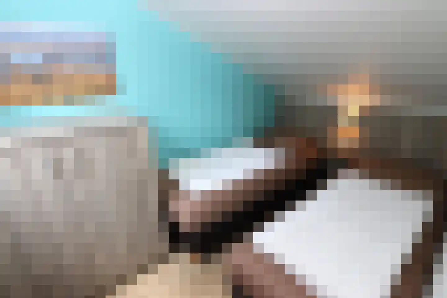 Vennenbos 428 Hapert thumbnail 14