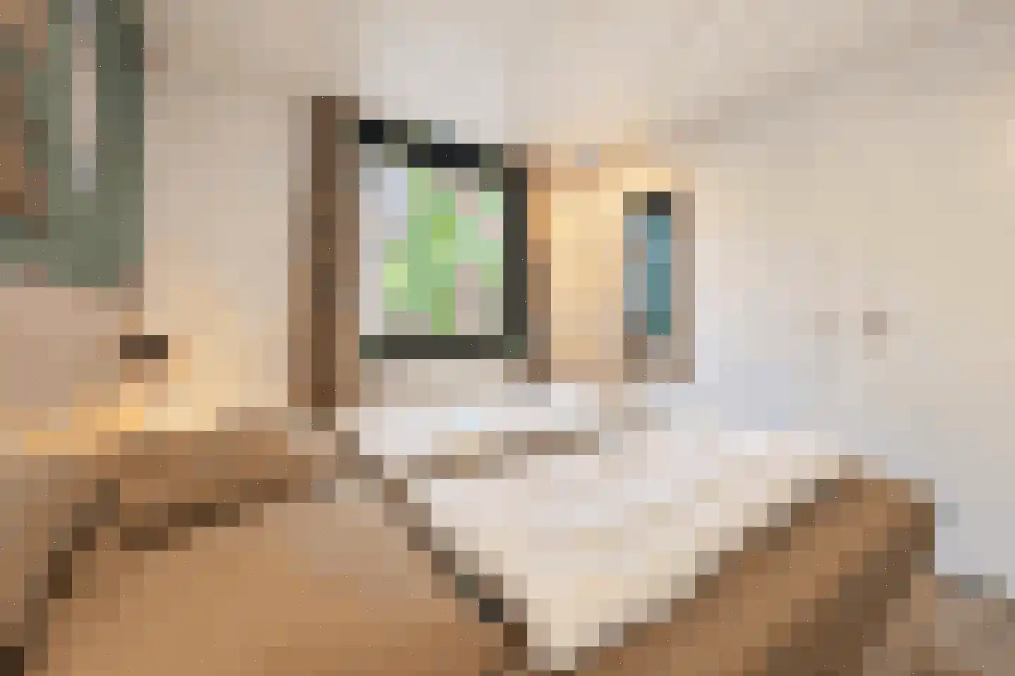 Vennenbos 428 Hapert thumbnail 14