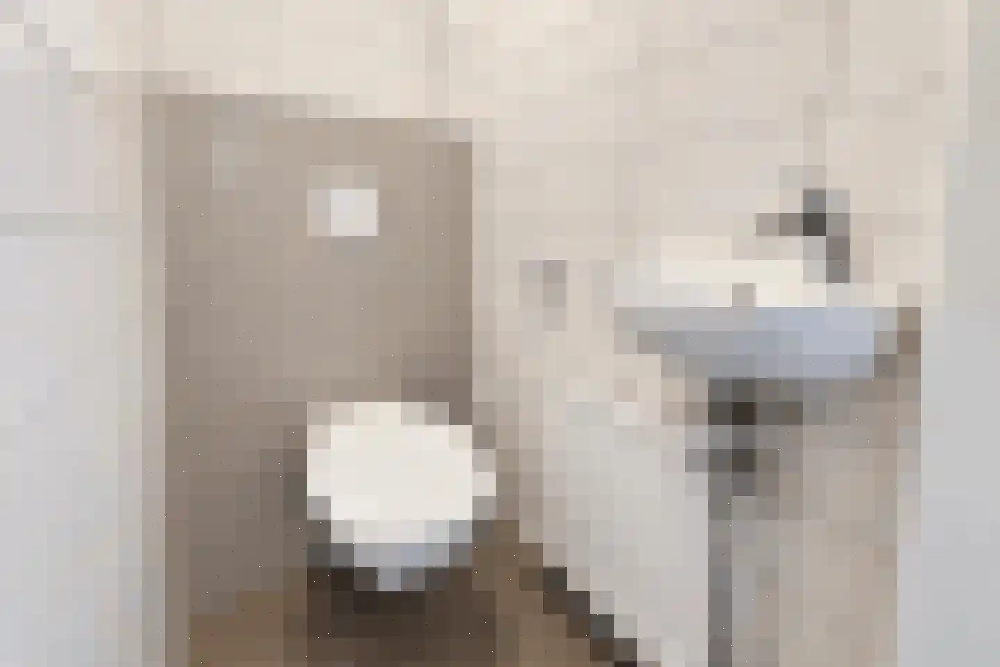 Vennenbos 428 Hapert thumbnail 15