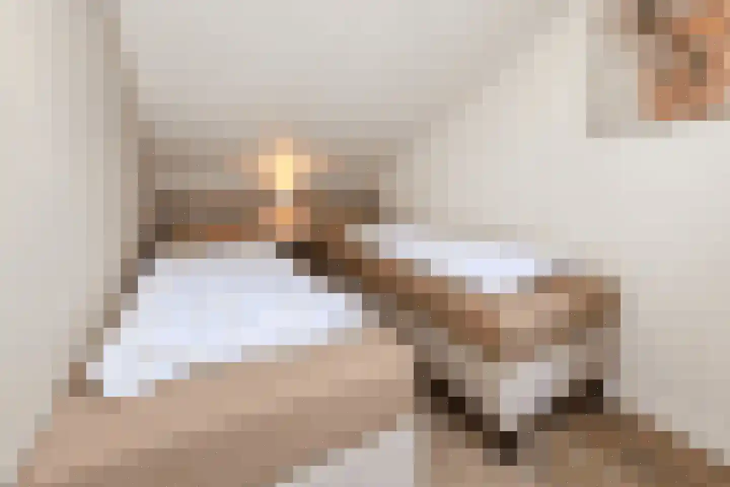 Vennenbos 428 Hapert thumbnail 16