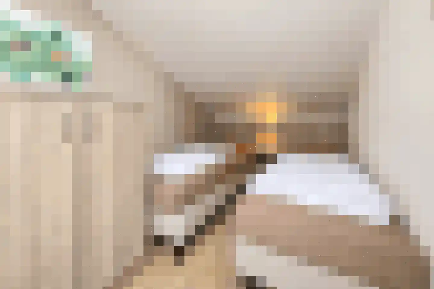 Vennenbos 428 Hapert thumbnail 18