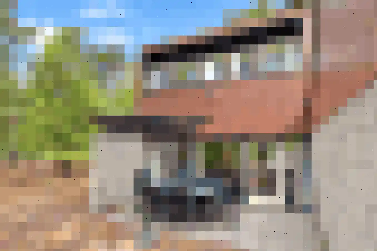 Vennenbos 428 Hapert thumbnail 5