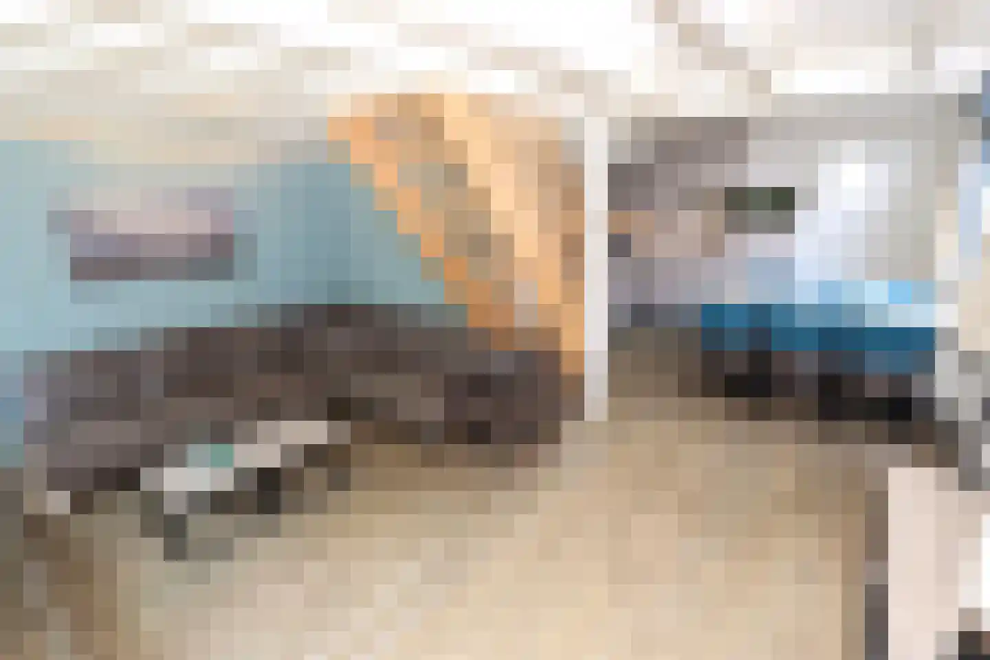 Vennenbos 428 Hapert thumbnail 6