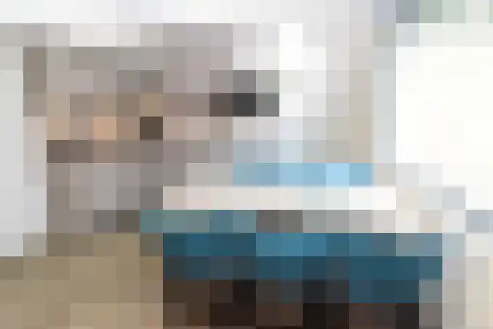 Vennenbos 428 Hapert thumbnail 9