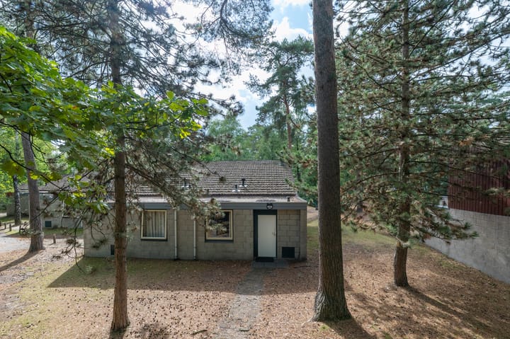 Vennenbos 440 en Hapert foto