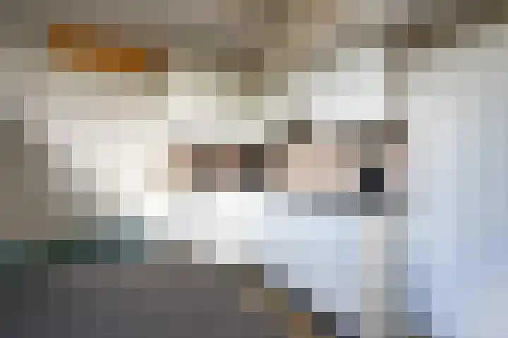 Vennenbos 440 Hapert thumbnail 10