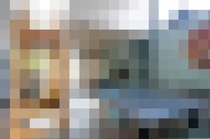 Vennenbos 440 Hapert thumbnail 11