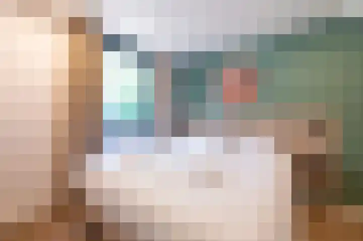 Vennenbos 440 Hapert thumbnail 12