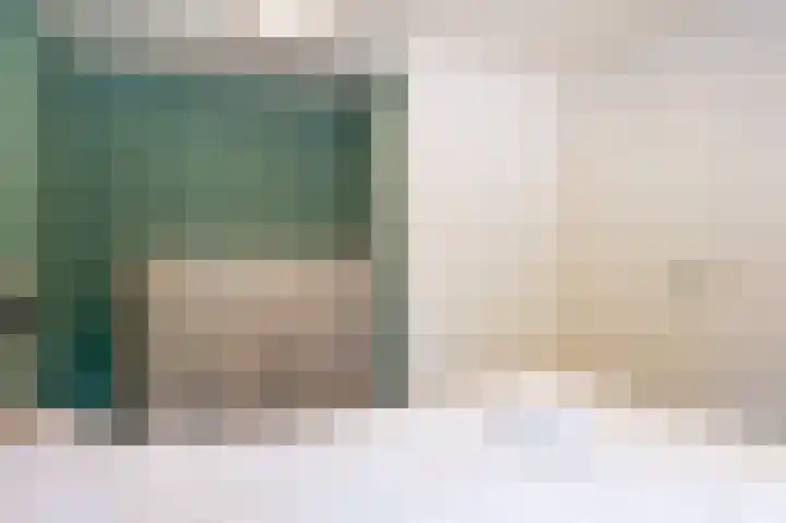 Vennenbos 440 Hapert thumbnail 14