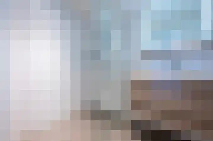 Vennenbos 440 Hapert thumbnail 15