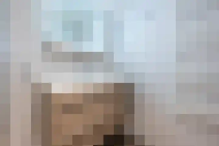 Vennenbos 440 Hapert thumbnail 16