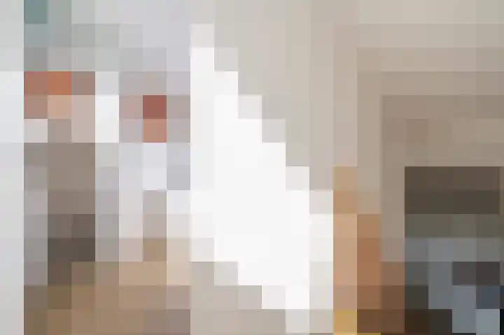 Vennenbos 440 Hapert thumbnail 18