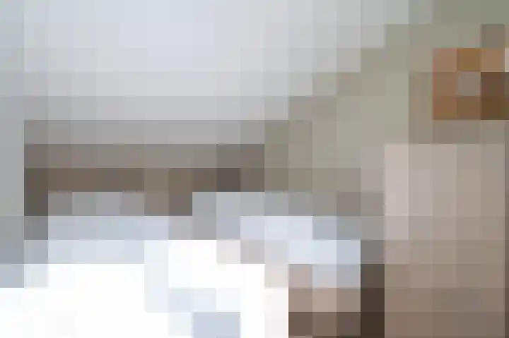 Vennenbos 440 Hapert thumbnail 19