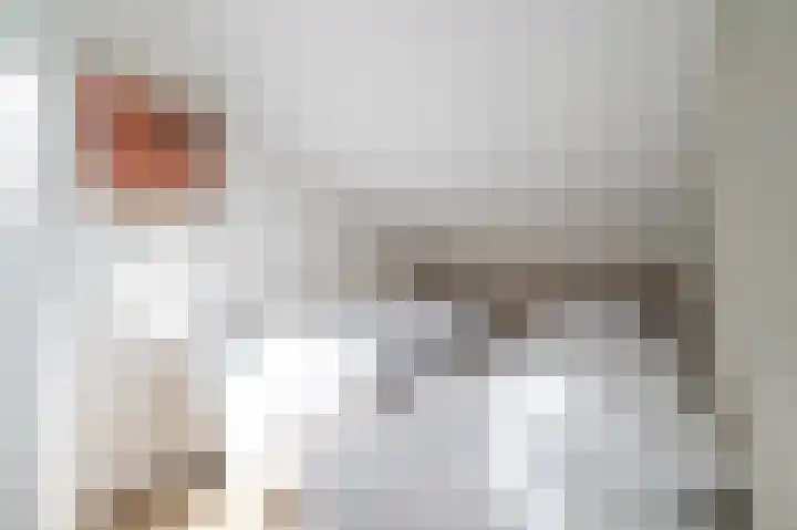 Vennenbos 440 Hapert thumbnail 21