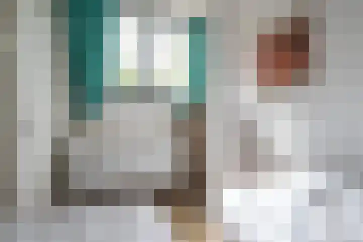 Vennenbos 440 Hapert thumbnail 22