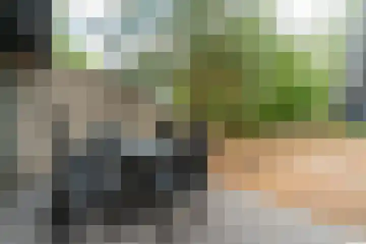 Vennenbos 440 Hapert thumbnail 23