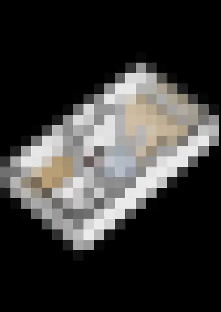 Vennenbos 440 Hapert thumbnail 27