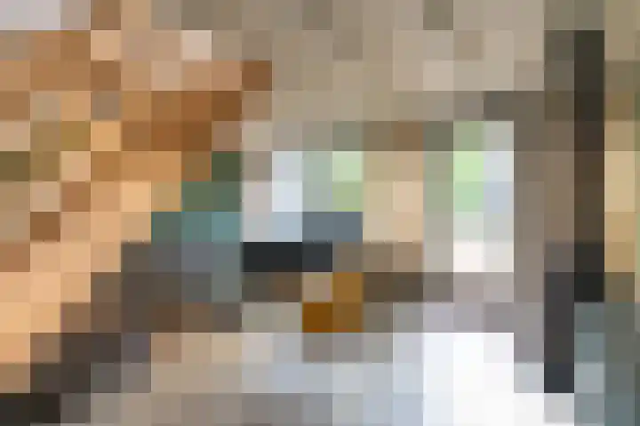 Vennenbos 440 Hapert thumbnail 4