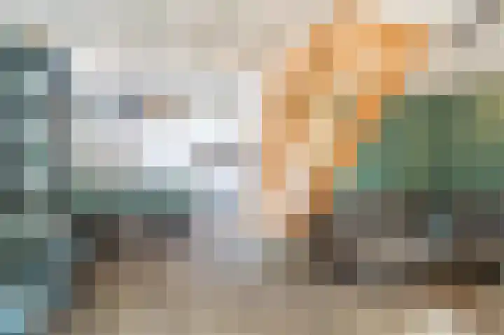 Vennenbos 440 Hapert thumbnail 8