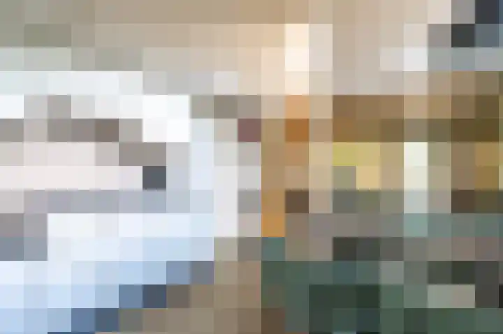 Vennenbos 440 Hapert thumbnail 9