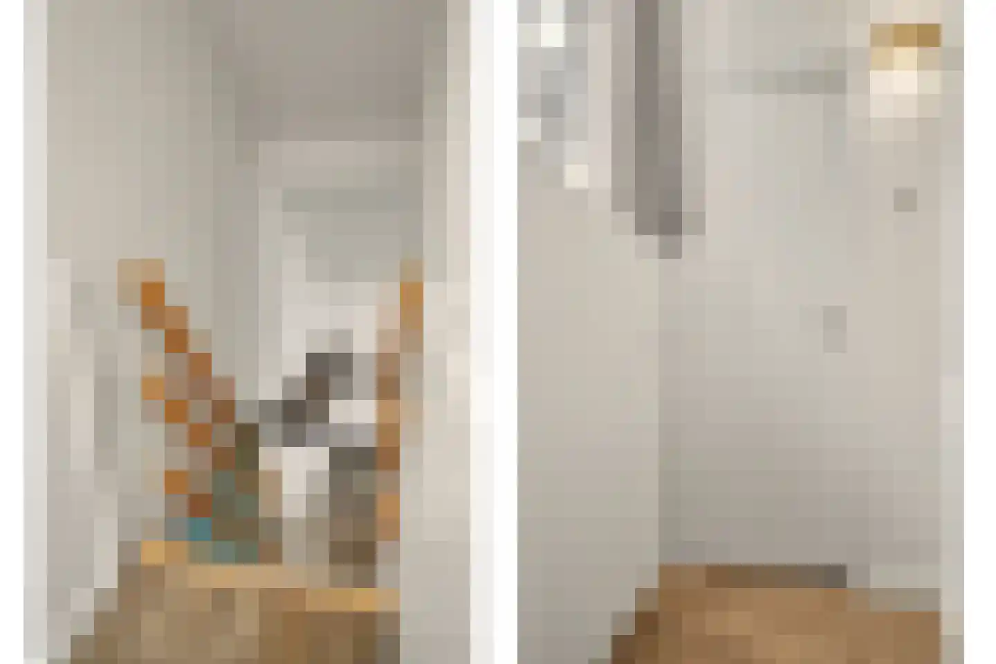 Vennenbos 507 Hapert thumbnail 18