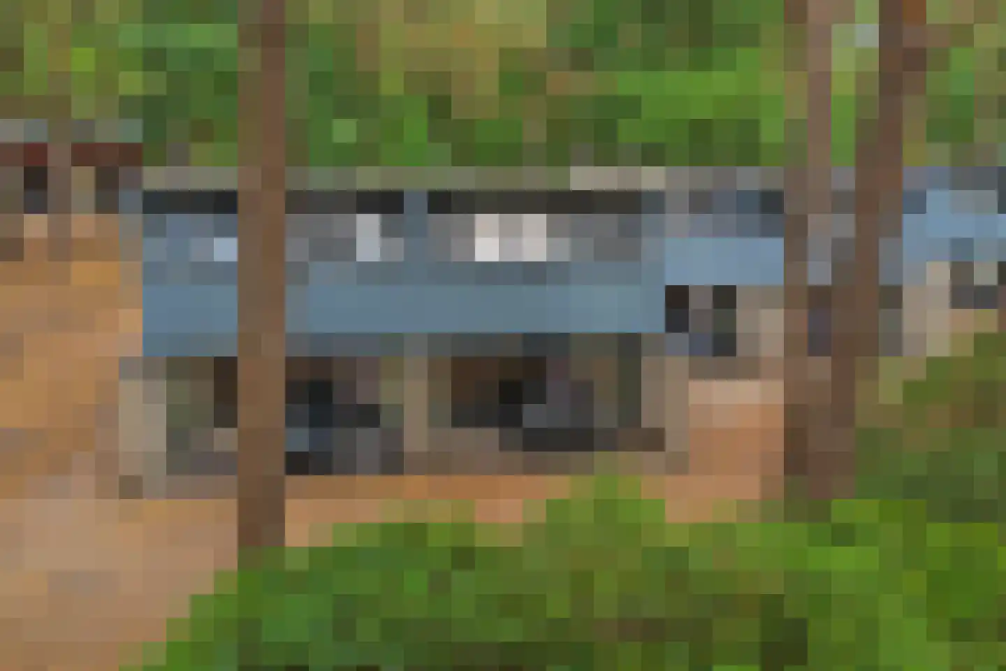 Vennenbos 507 Hapert thumbnail 26