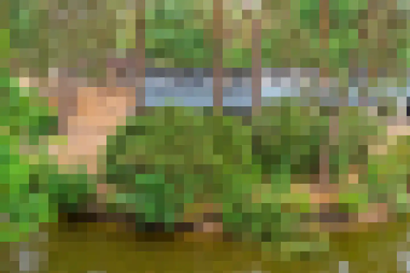 Vennenbos 507 Hapert thumbnail 27