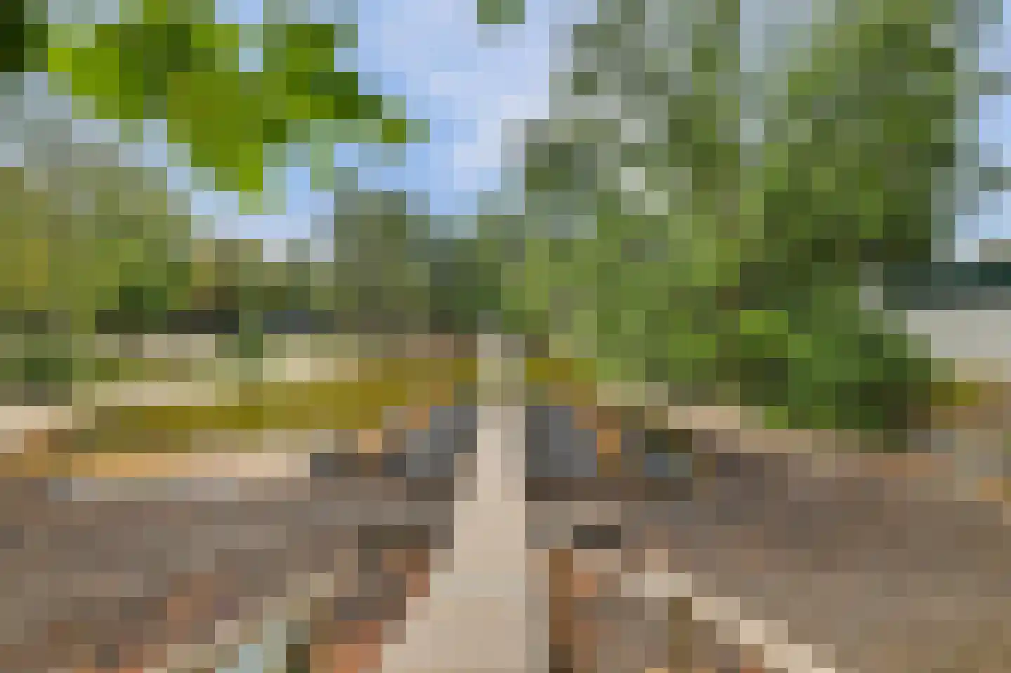 Vennenbos 507 Hapert thumbnail 29