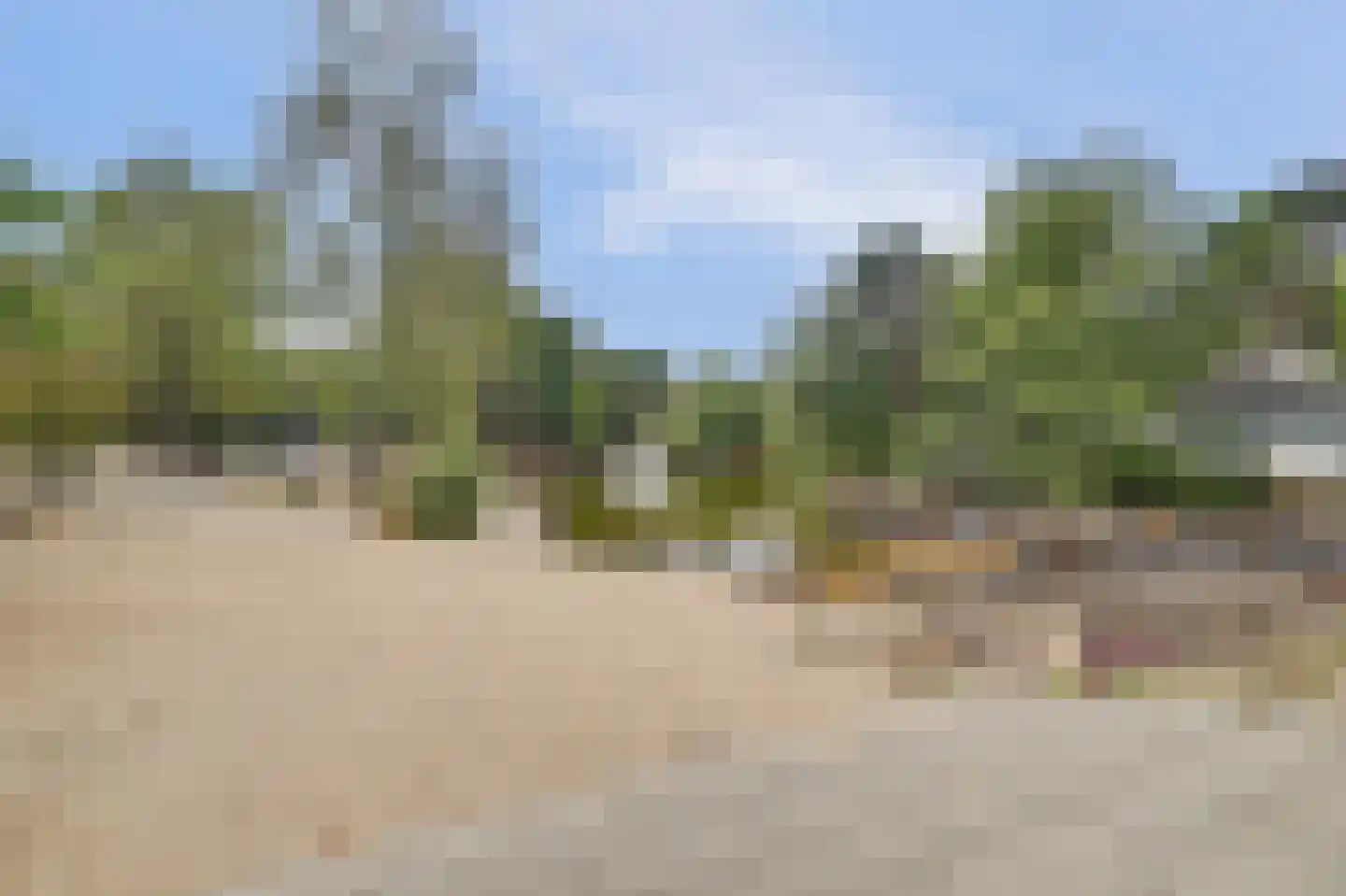 Vennenbos 507 Hapert thumbnail 30