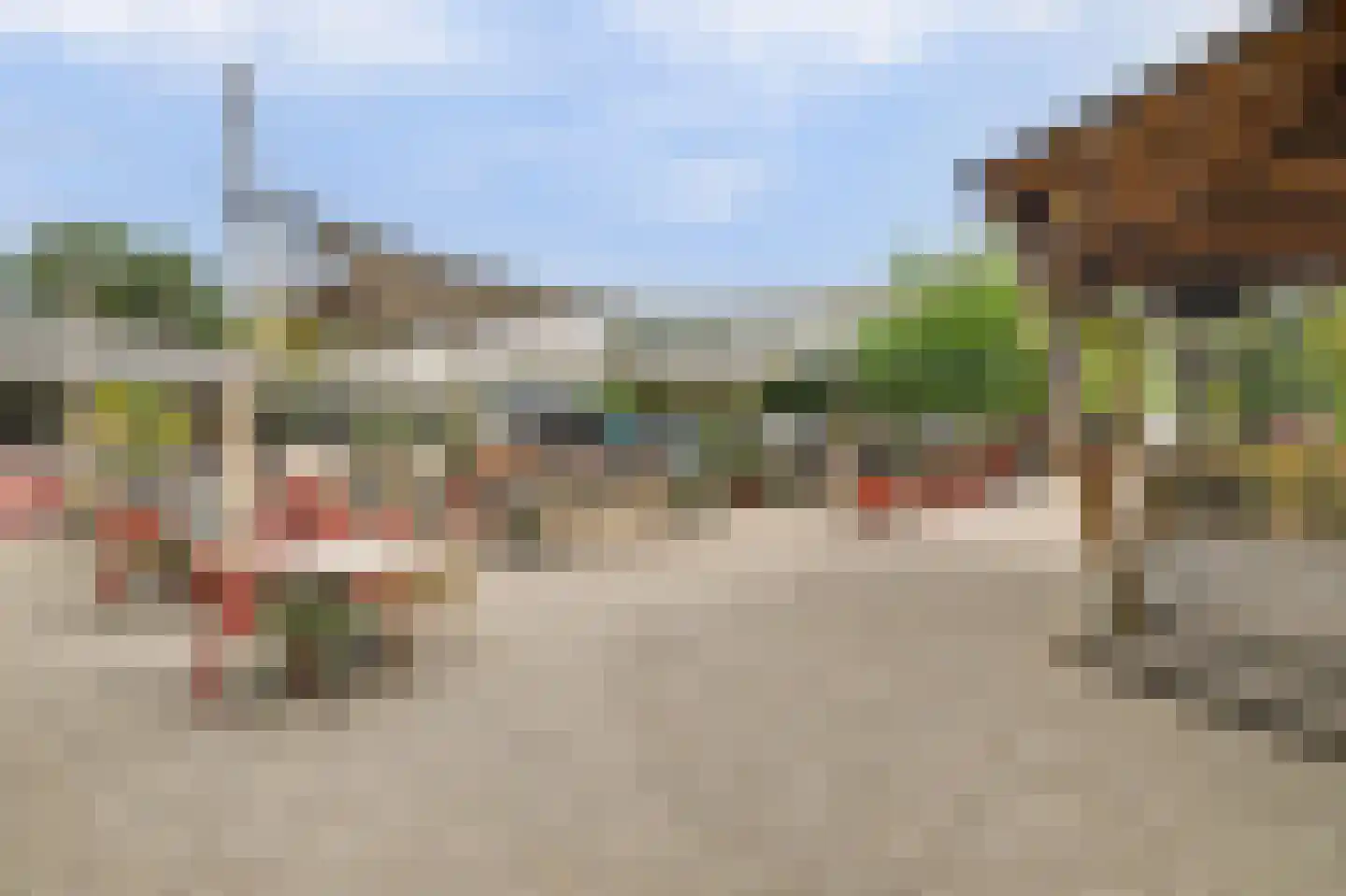 Vennenbos 507 Hapert thumbnail 31