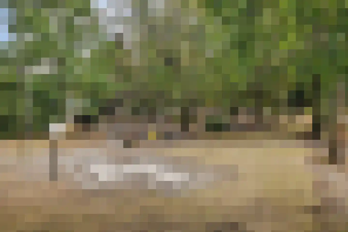 Vennenbos 507 Hapert thumbnail 34
