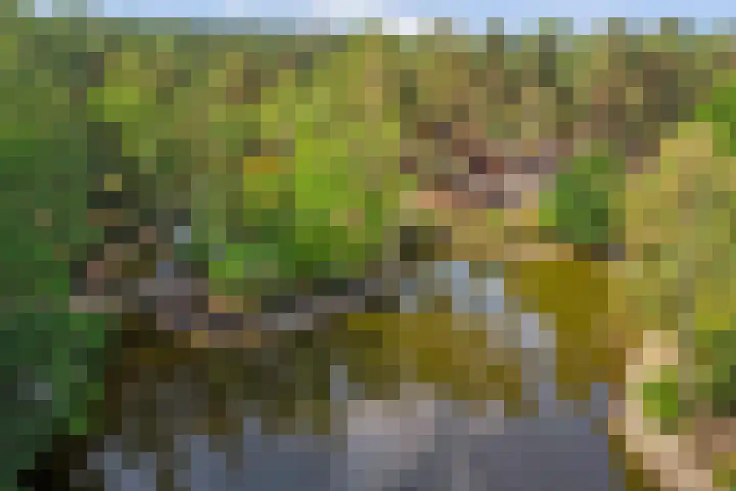 Vennenbos 507 Hapert thumbnail 38