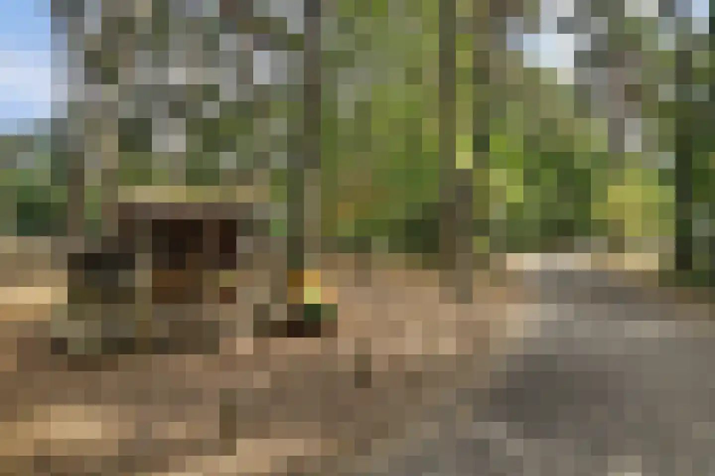 Vennenbos 507 Hapert thumbnail 40