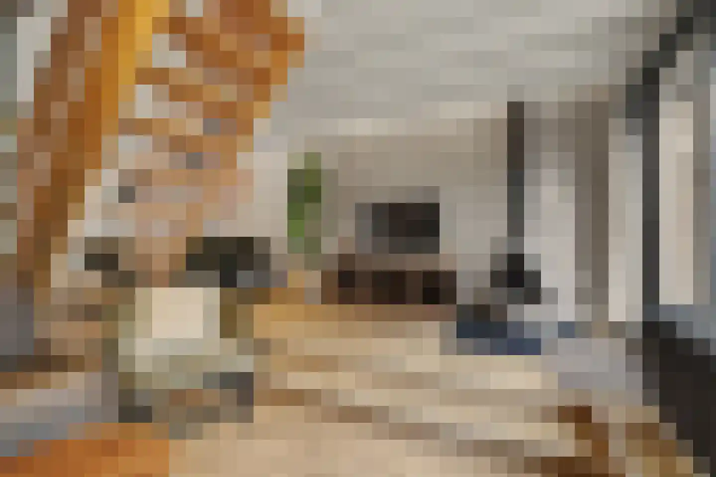 Vennenbos 507 Hapert thumbnail 8